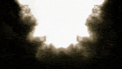 video art Childbirth GIF by J. Robinson