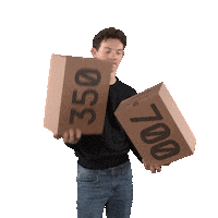 Disney Themepark Sticker