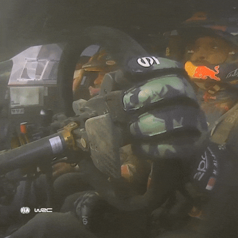 Motorsport Driving GIF by FIA World Rally Championship