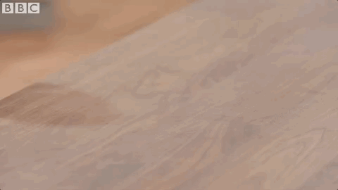 episode 7 britains best home cook GIF by BBC