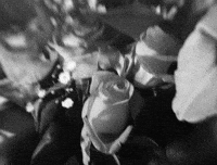 suedeofficial lyrics suede disintegrate GIF