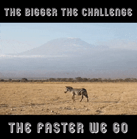 Challenge Esports GIF by BS+COMPETITION