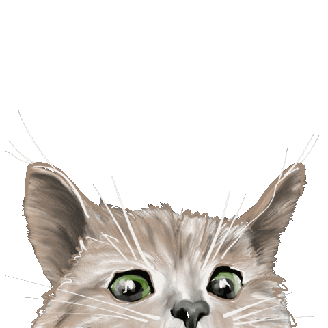 tatjanasolovjova giphyupload cat кот кошка Sticker