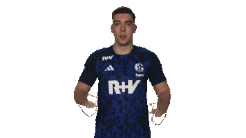Schalke 04 Omg Sticker by Bundesliga