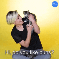 Hannah Hart Joke GIF by BuzzFeed