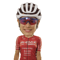 10 Anos Sticker by Audax Bike