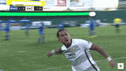 Celebration Fc GIF by USL