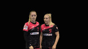 dhcplzen  GIF