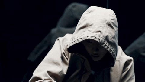 Chinese 세븐틴 GIF