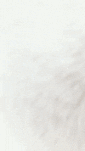 Cartman Plushie GIF by Youtooz