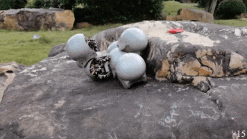 GIF by Alex Boya