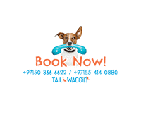 tailwagginae tw tailwaggin tailwagginae Sticker