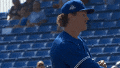 Blue Jays Mlb GIF by Toronto Blue Jays