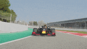redbullracing france 2019 f1 motorsport GIF