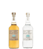 heart love Sticker by Casamigos