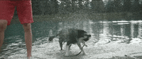 shake dry off GIF by Much