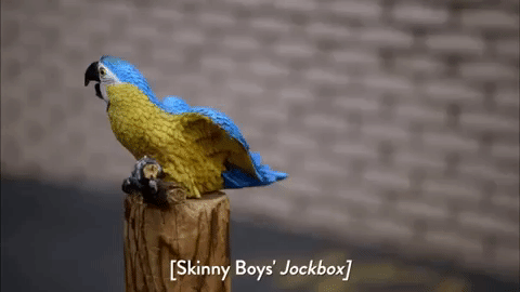 season 5 episode 11 GIF by Workaholics