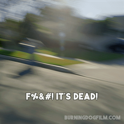 BurningDogMovie giphyupload GIF