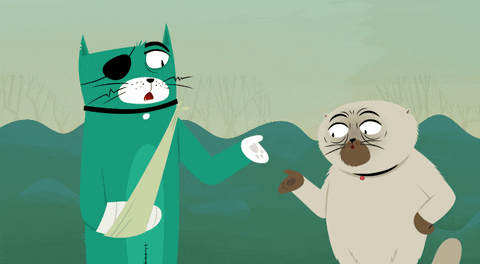 Cats GIF by Kitty Is Not A Cat