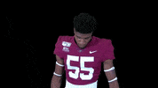Stevens Jyairestevens GIF by Lafayette Leopards