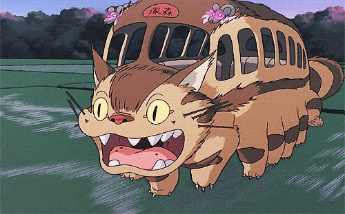 catbus
