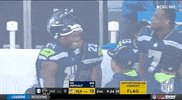 Seattle Seahawks Football GIF by NFL