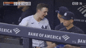 Celebrate New York Yankees GIF by MLB
