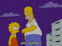 Disappointed Lisa Simpson GIF by The Simpsons