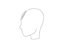 Calligraphy Script Sticker