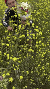 Celebrate I Love You GIF