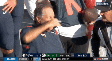 Argue Bill Belichick GIF by NFL
