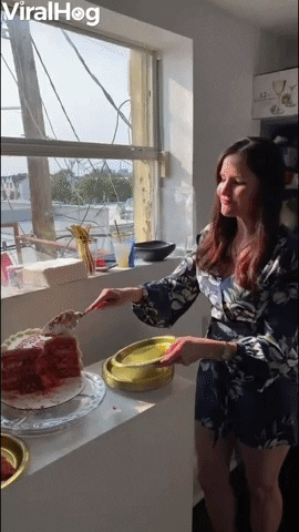 Cake Cutting Gone Wrong GIF by ViralHog
