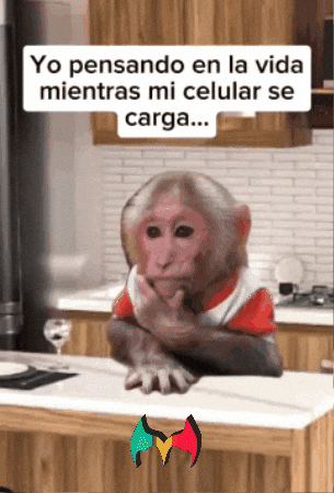 Pensando En La Vida GIF by Murcianys LLC