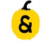 Pumpkin Rh Sticker by Raine & Horne