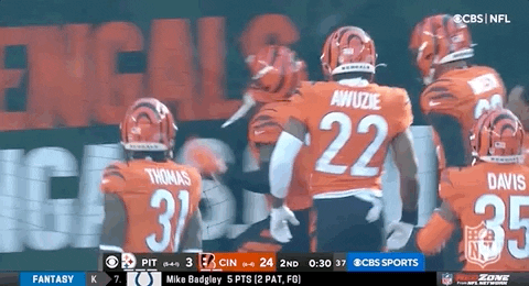 Cincinnati Bengals Football GIF by NFL