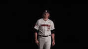 University Of Louisville Baseball GIF by Louisville Cardinals