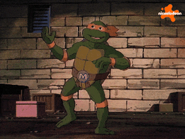 Tmnt GIF by Teenage Mutant Ninja Turtles