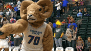 csu rams GIF by Colorado State Rams