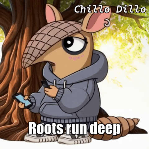Sun Joy GIF by Chillo Dillo