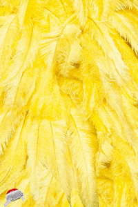 jeremy scott fashion gif GIF by Luca Mainini