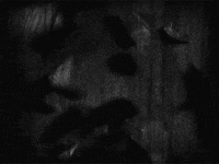 fritz lang art GIF by hoppip