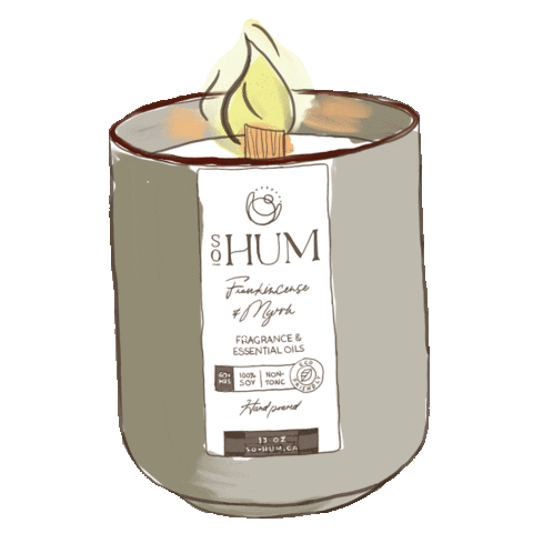 SoHumCandles giphyupload Sticker