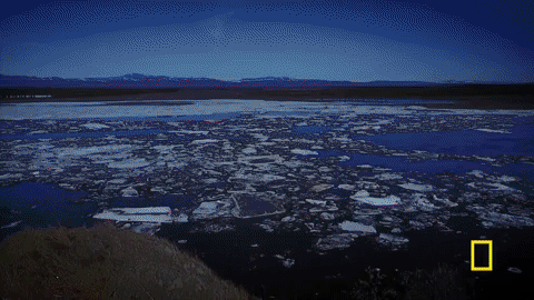 life below zero GIF by National Geographic Channel