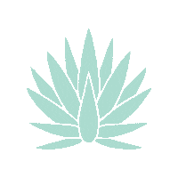 desnudatequila tequila agave desnuda desnudatequila Sticker