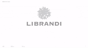 GIF by librandiwine