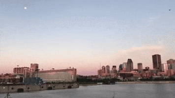 Good Morning GIF by Casol