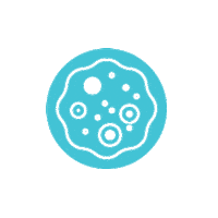 Gerces asteroide gercesdesign Sticker