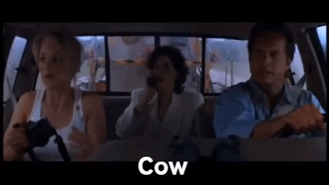Bill Paxton cow GIF