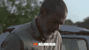 foxnederland  GIF