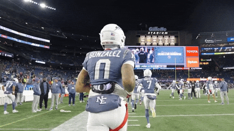 Football Nfl GIF by New England Patriots